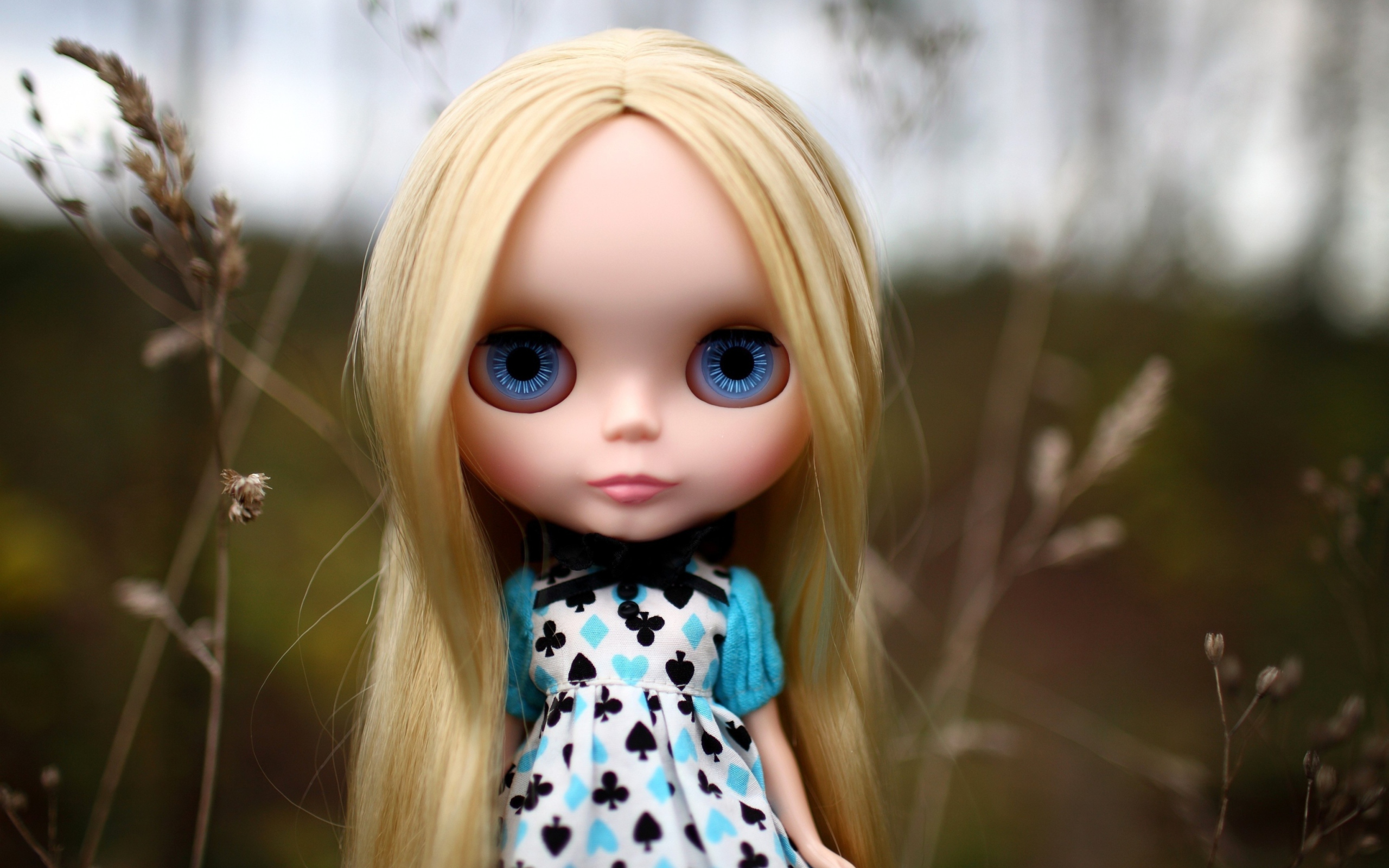 Обои Blonde China Doll With Blue Eyes 2560x1600