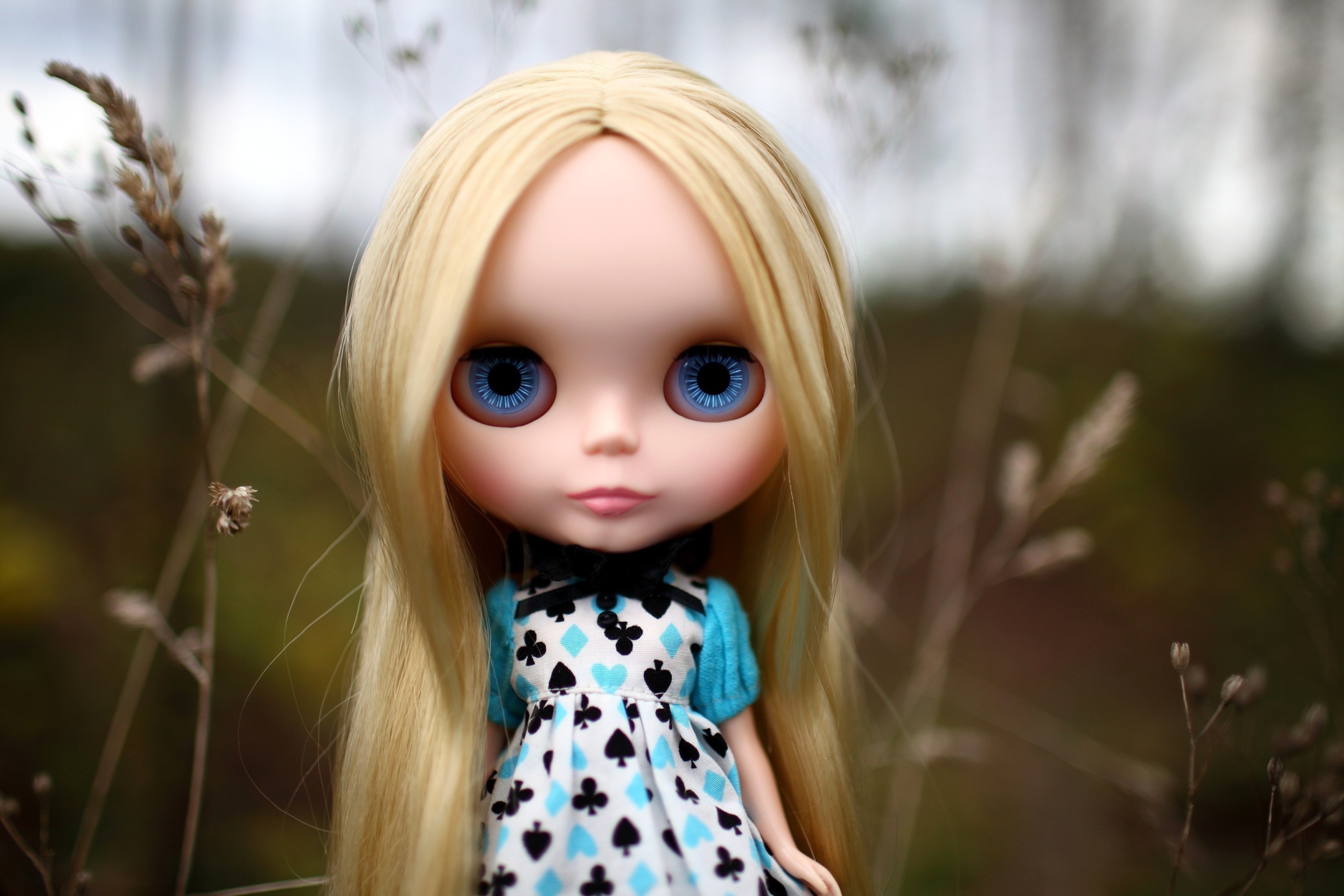 Sfondi Blonde China Doll With Blue Eyes 2880x1920
