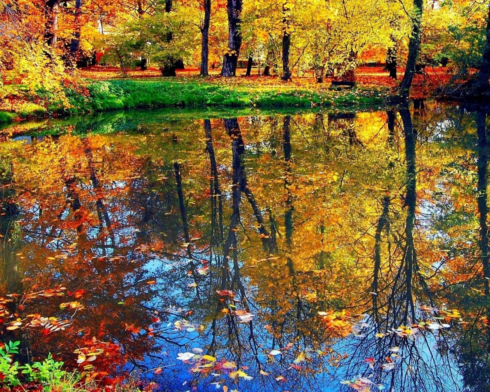 Autumn pond and leaves wallpaper 1600x1280