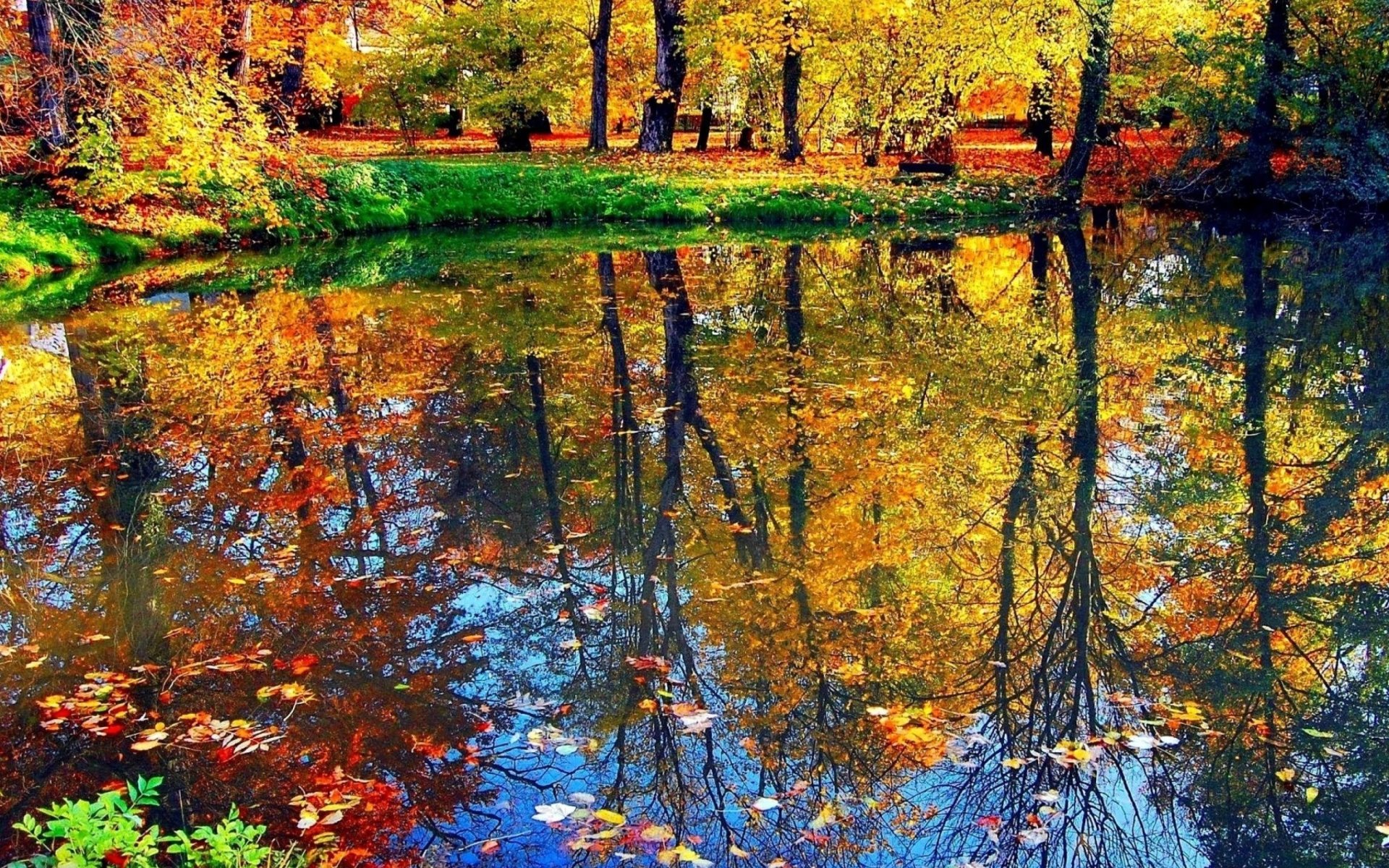 Fondo de pantalla Autumn pond and leaves 1920x1200