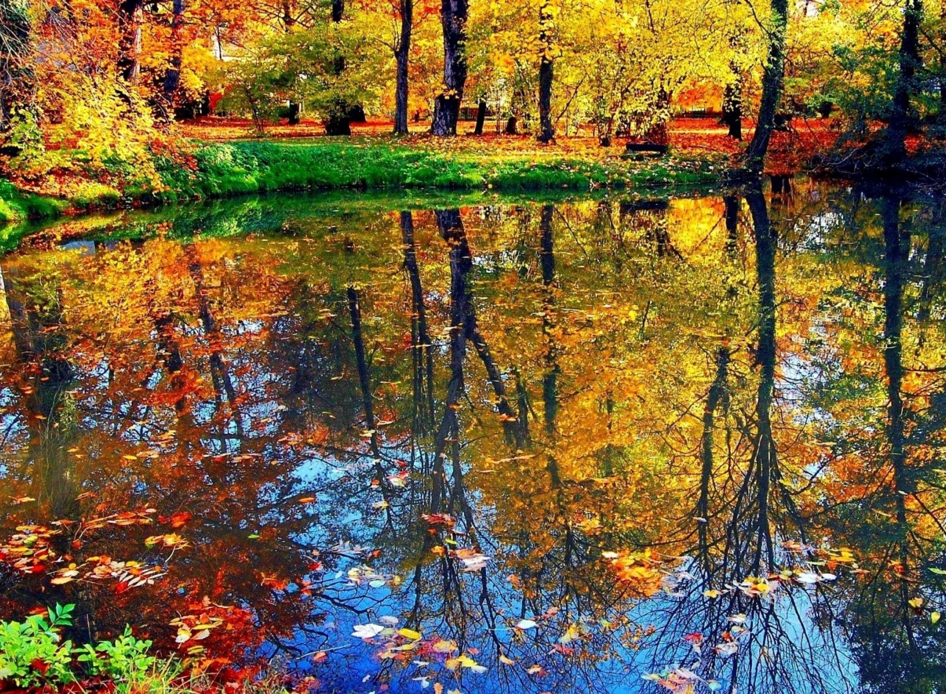 Fondo de pantalla Autumn pond and leaves 1920x1408