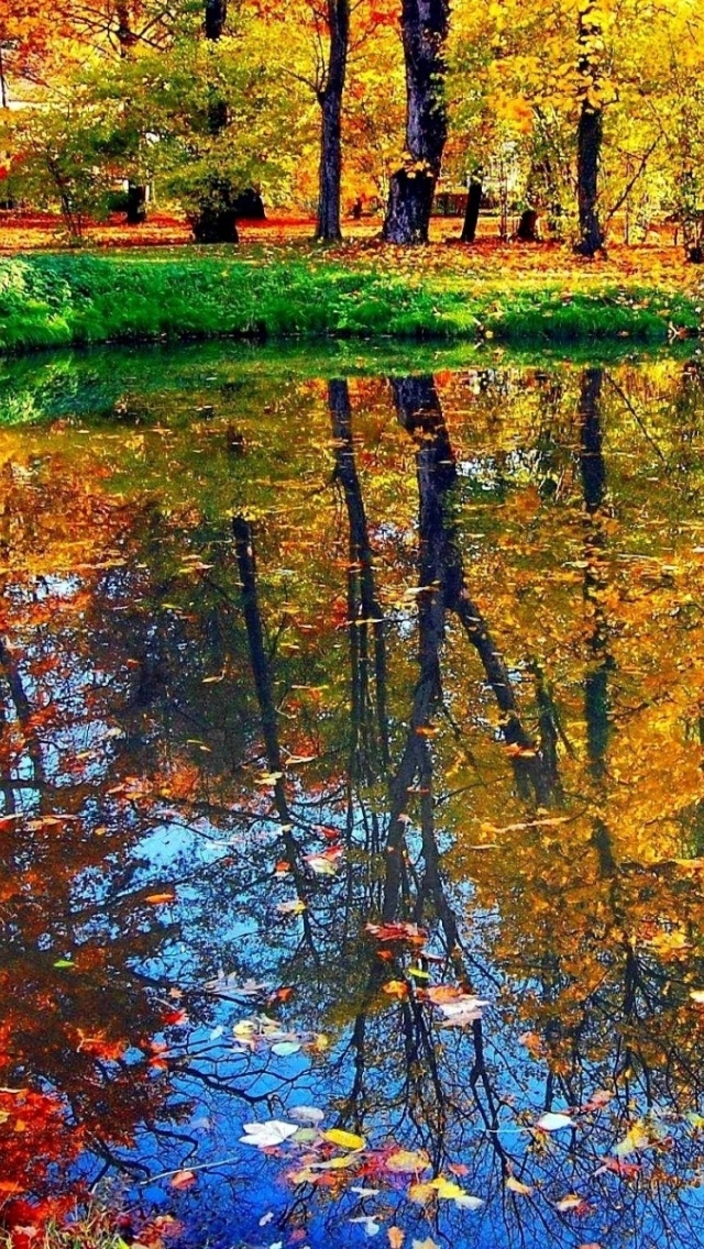 Обои Autumn pond and leaves 640x1136