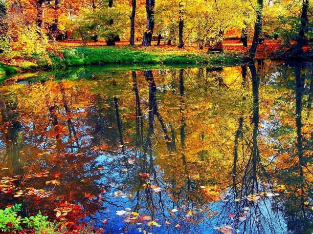 Fondo de pantalla Autumn pond and leaves 640x480
