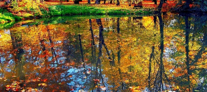 Autumn pond and leaves wallpaper 720x320