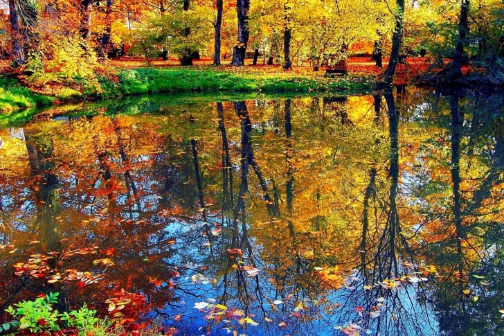 Autumn pond and leaves wallpaper