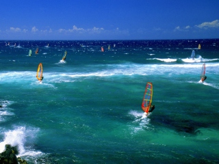 Screenshot №1 pro téma Windsurfers 320x240