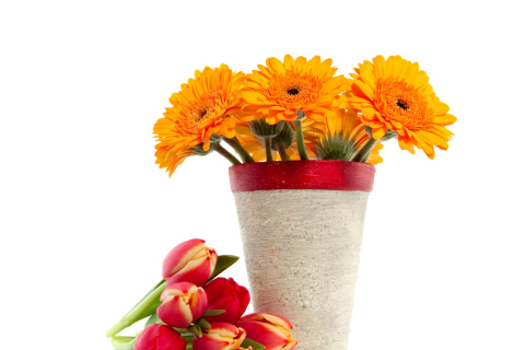 Screenshot №1 pro téma Gerbera Flowers Bouquet 480x320