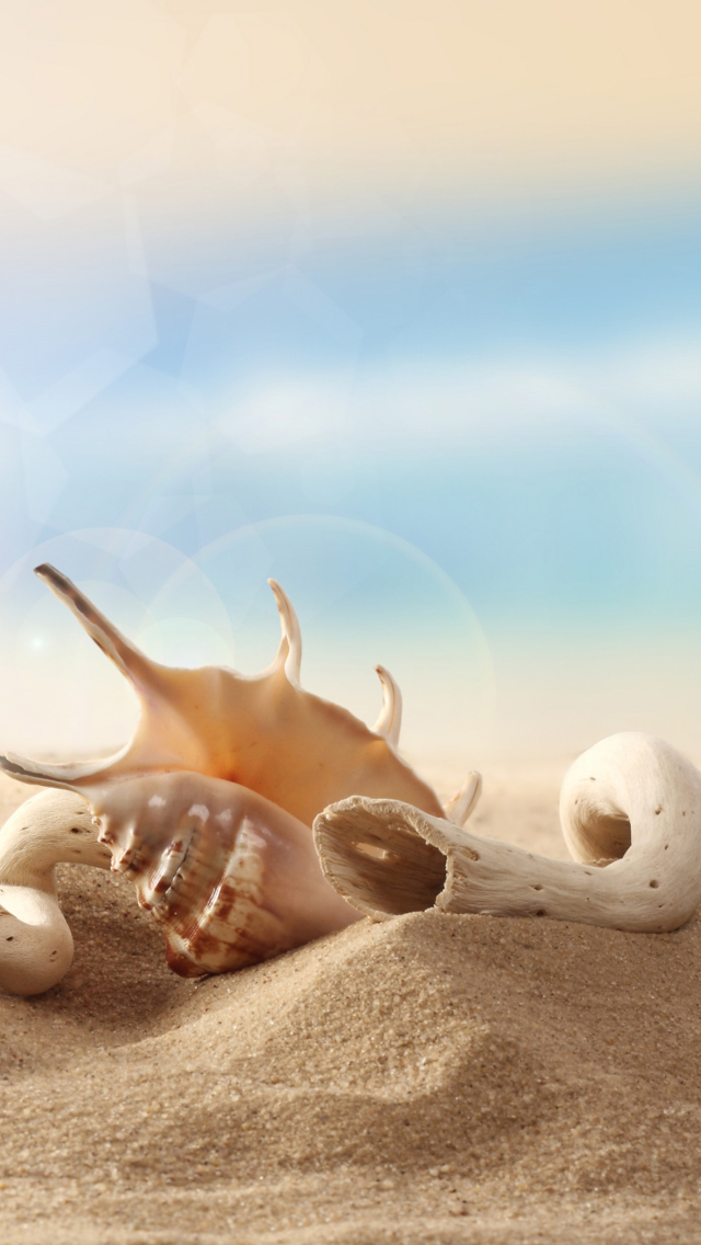 Das Sea Shells On Sand Wallpaper 640x1136