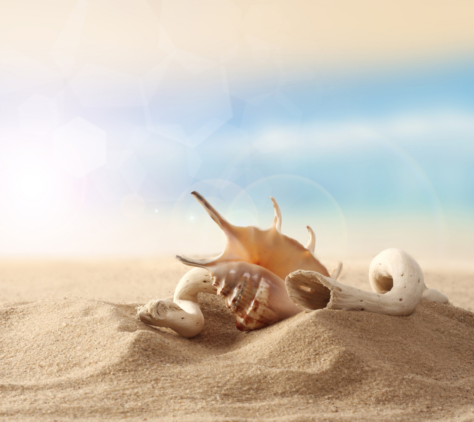 Fondo de pantalla Sea Shells On Sand 960x854