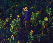 Screenshot №1 pro téma Girl In Blue Dress In Sunflower Field 176x144
