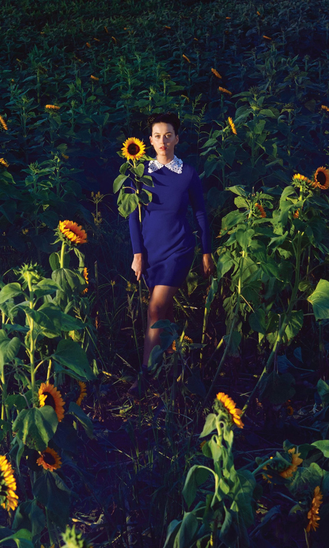 Girl In Blue Dress In Sunflower Field wallpaper 480x800