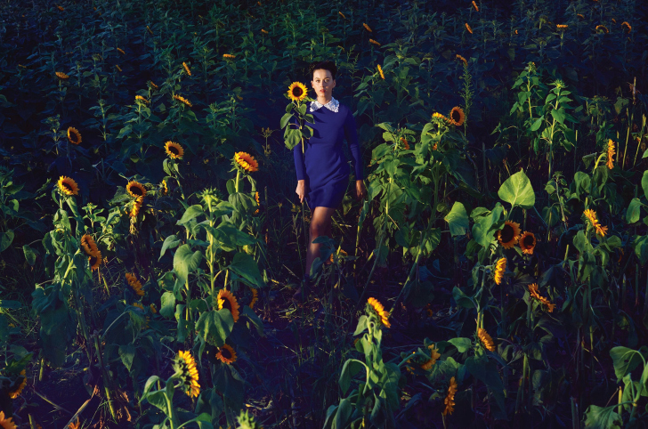 Girl In Blue Dress In Sunflower Field wallpaper