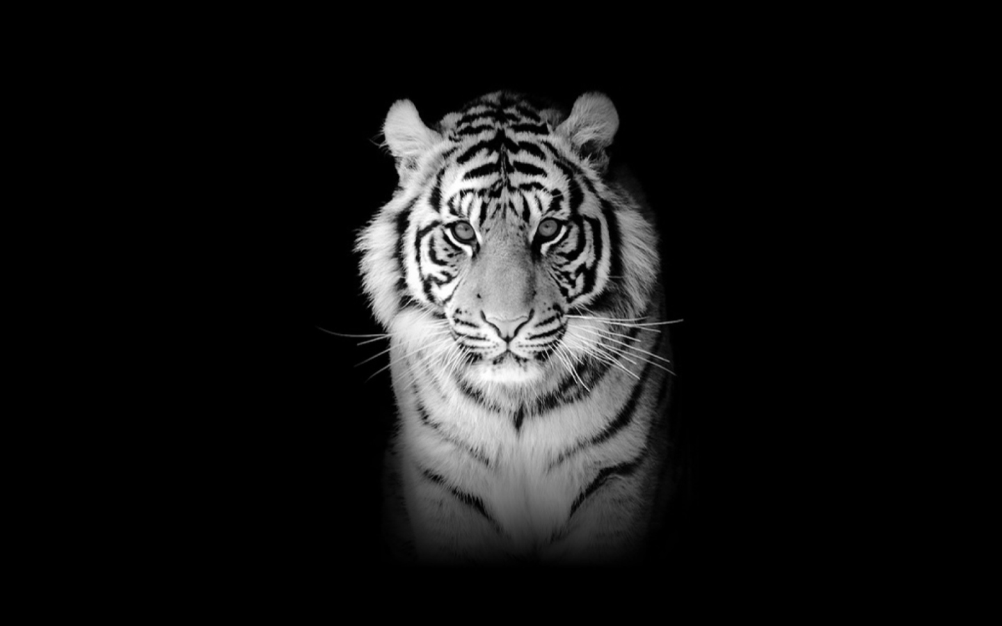 Screenshot №1 pro téma Tiger 1440x900