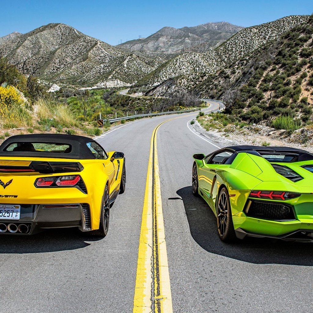 Обои Chevrolet Corvette Stingray vs Lamborghini Aventador 1024x1024