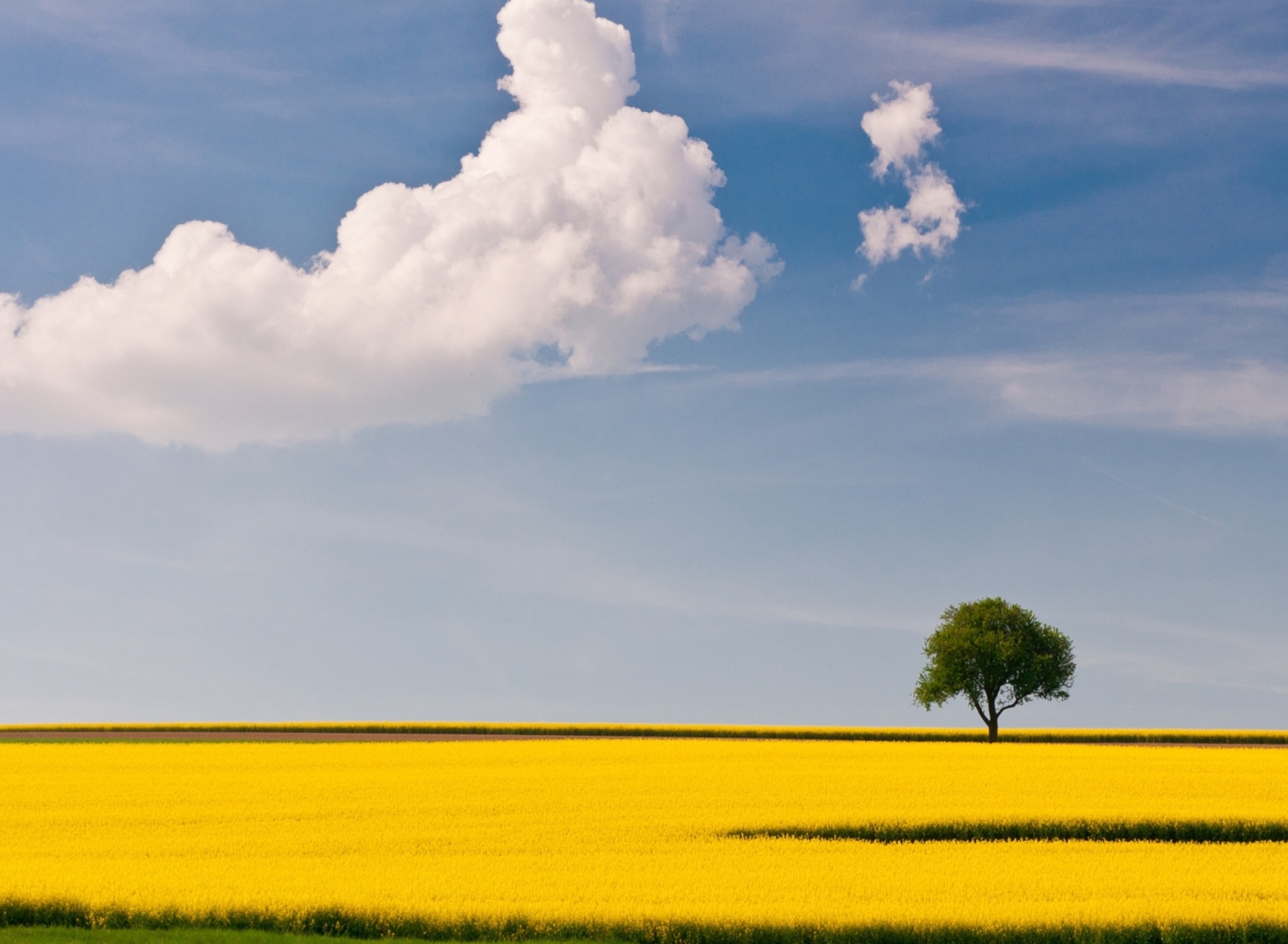 Yellow Field and Clouds HQ wallpaper 1920x1408