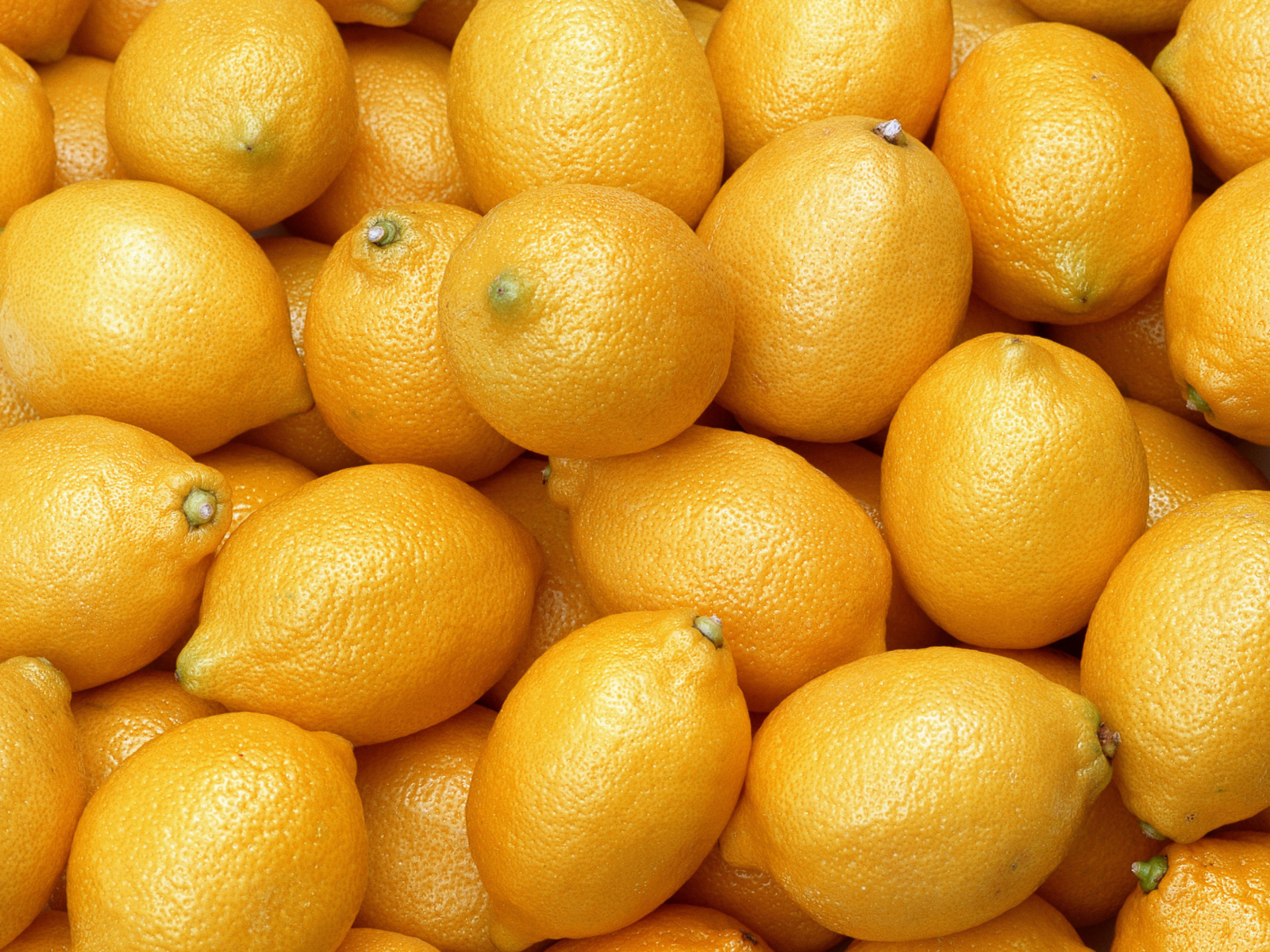 Screenshot №1 pro téma Fresh Yellow Lemons 1600x1200