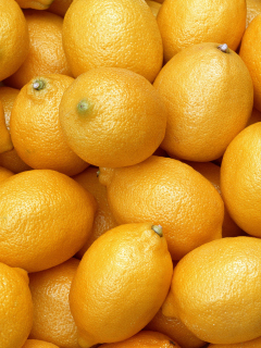 Das Fresh Yellow Lemons Wallpaper 240x320