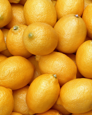 Fresh Yellow Lemons - Fondos de pantalla gratis para iPhone 5S