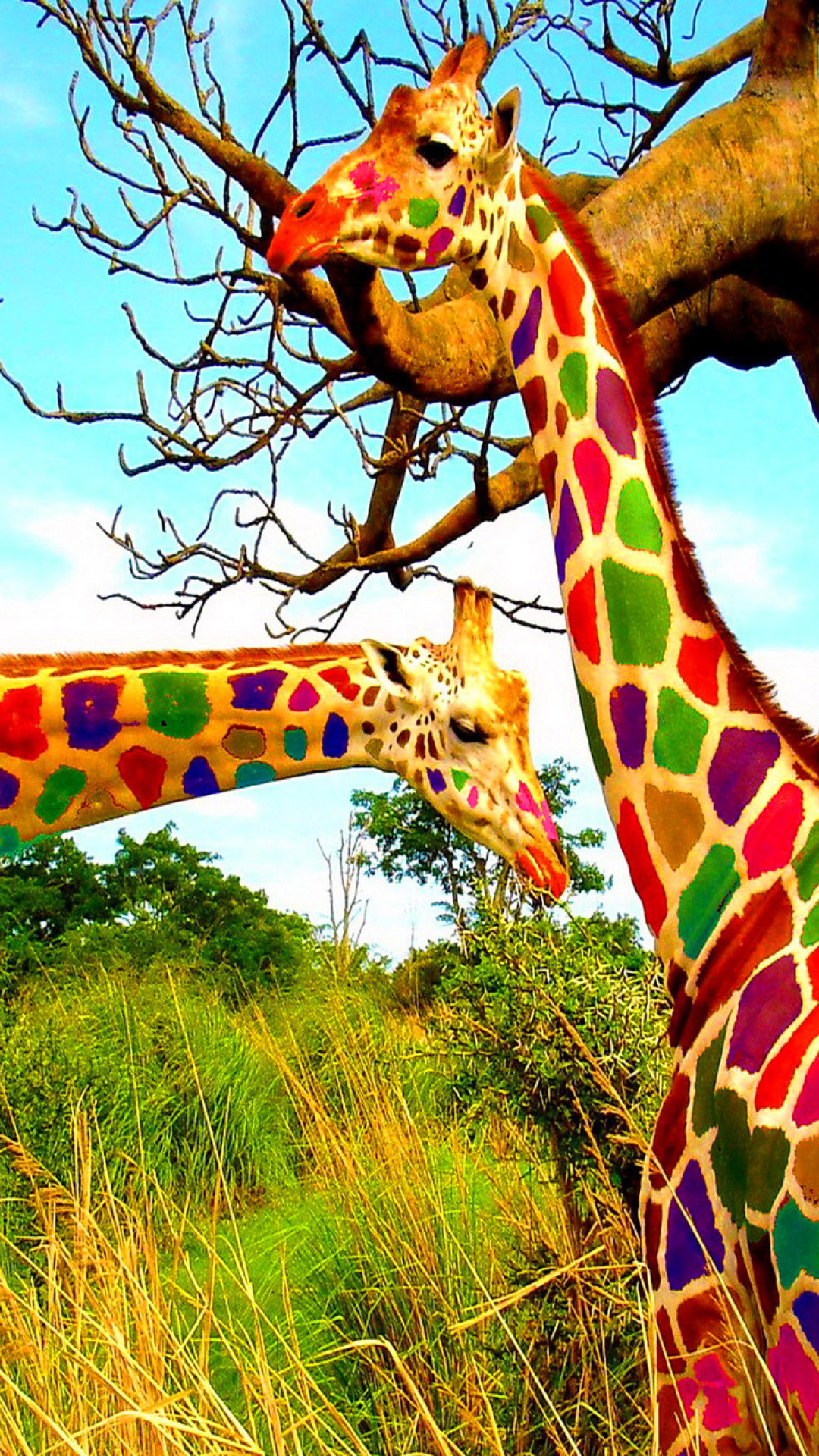 Обои Multicolored Giraffe Family 1080x1920