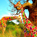 Sfondi Multicolored Giraffe Family 128x128