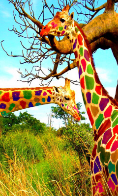 Multicolored Giraffe Family wallpaper 240x400