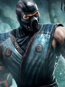 Sub Zero Mortal Kombat wallpaper 132x176