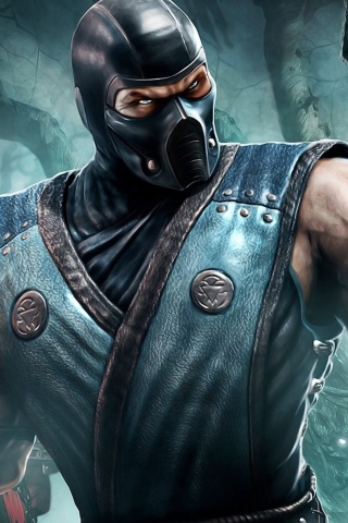 Screenshot №1 pro téma Sub Zero Mortal Kombat 320x480