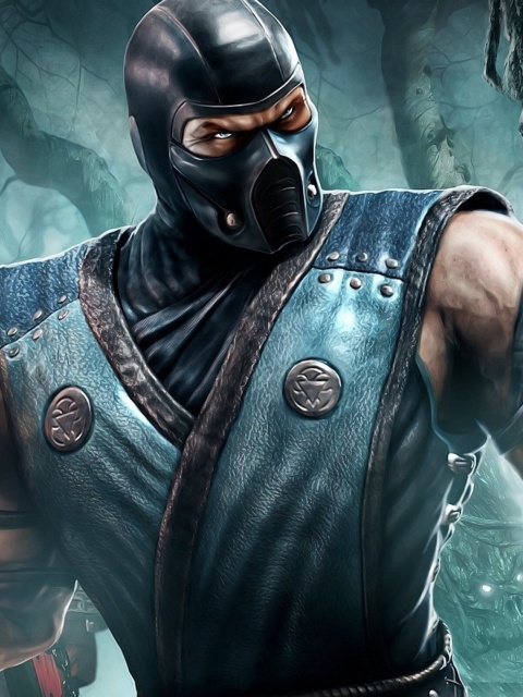 Sfondi Sub Zero Mortal Kombat 480x640