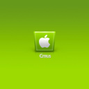Fondo de pantalla Apple Citrus 128x128