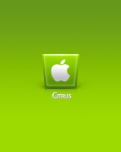 Screenshot №1 pro téma Apple Citrus 176x220