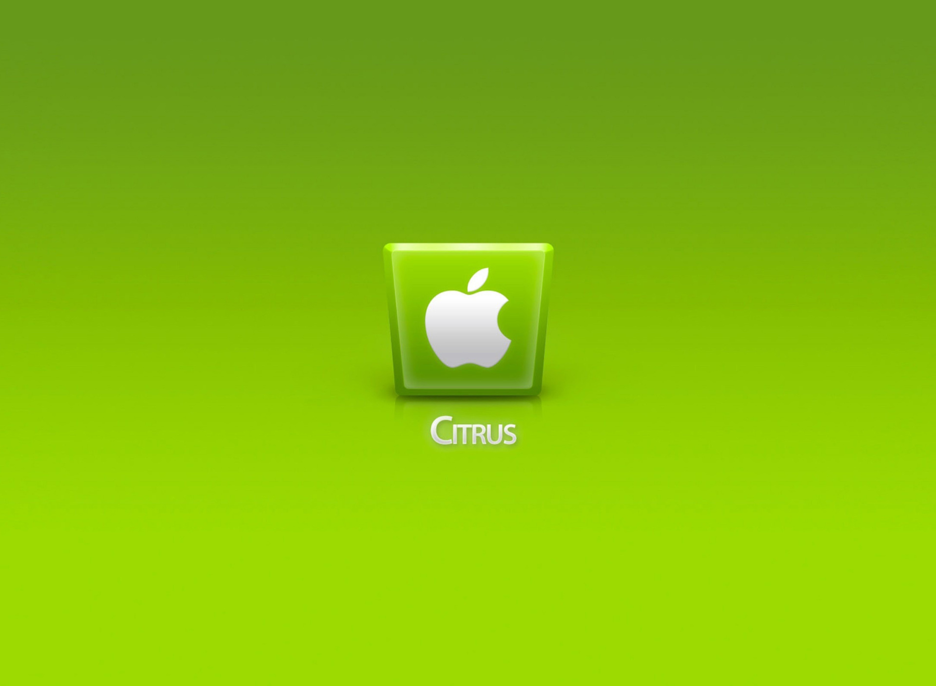 Fondo de pantalla Apple Citrus 1920x1408