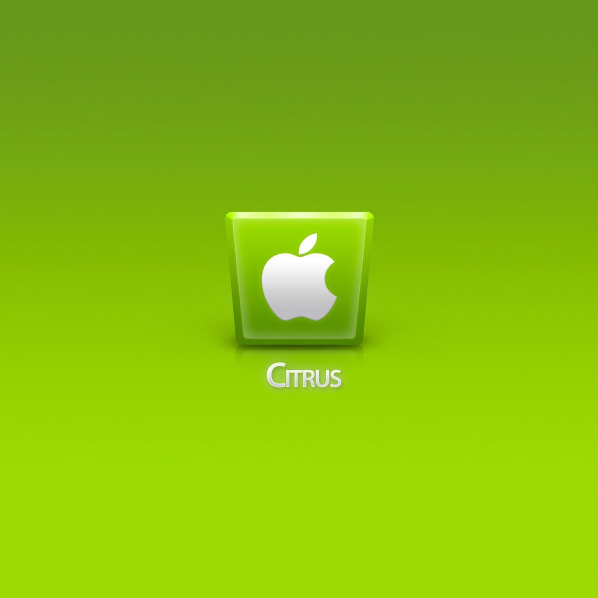 Screenshot №1 pro téma Apple Citrus 2048x2048