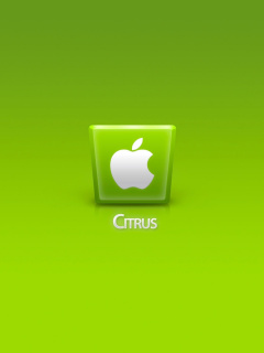 Fondo de pantalla Apple Citrus 240x320