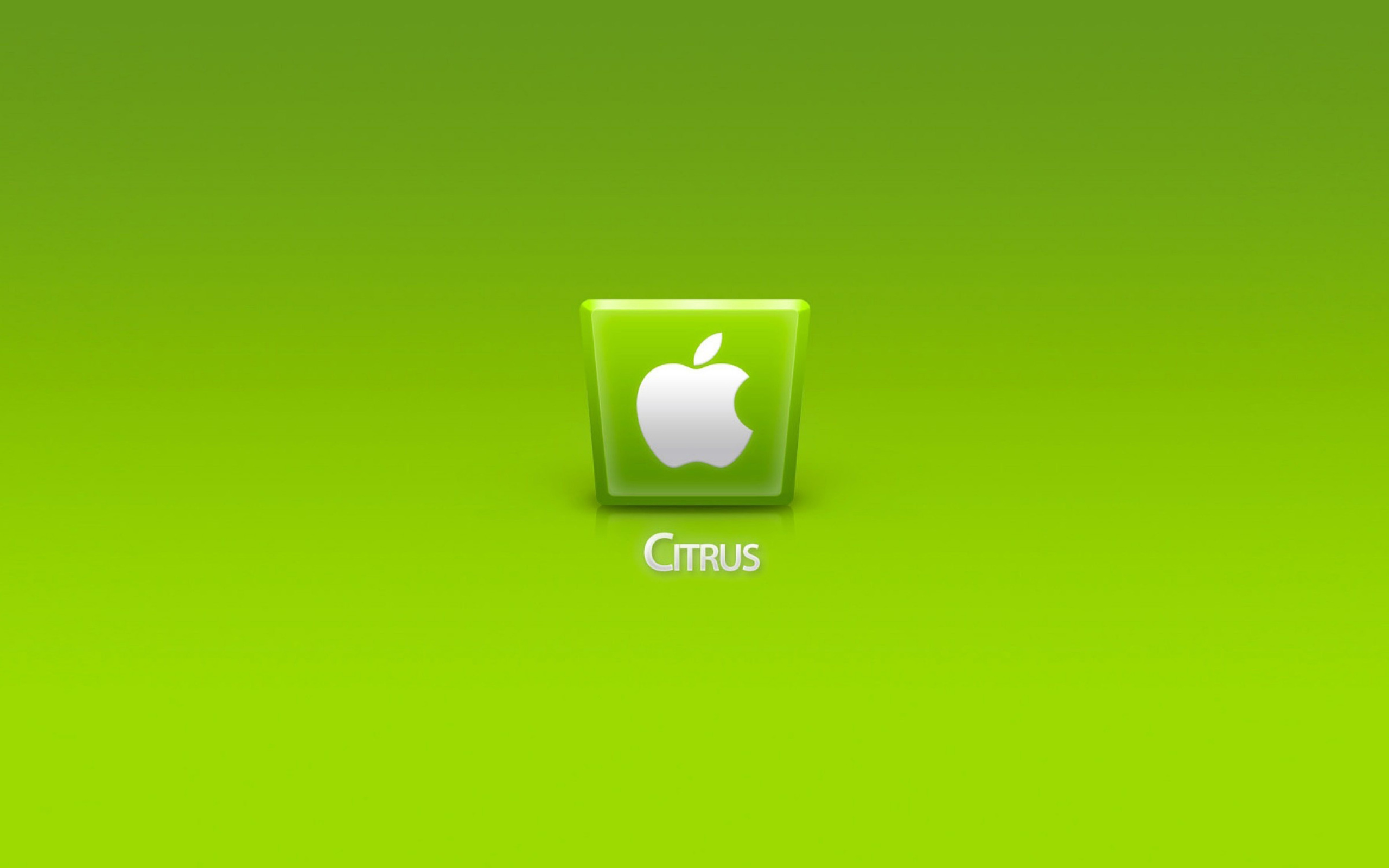 Screenshot №1 pro téma Apple Citrus 2560x1600