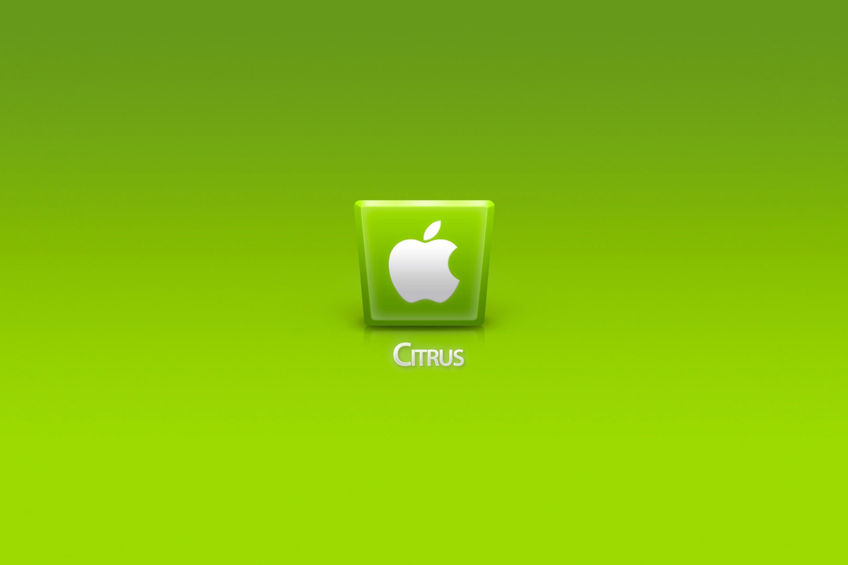 Fondo de pantalla Apple Citrus 2880x1920