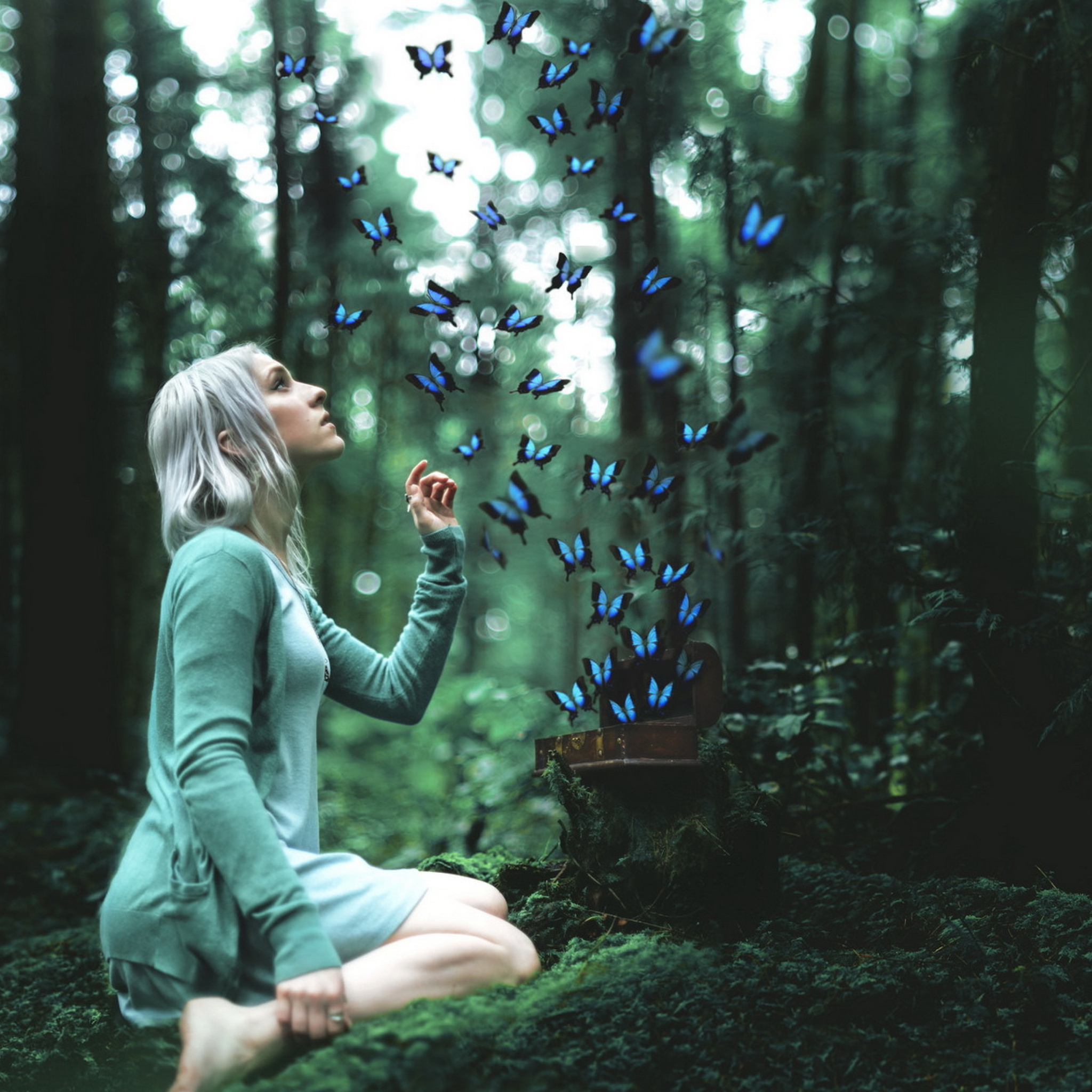 Fondo de pantalla Girl And Blue Butterflies 2048x2048