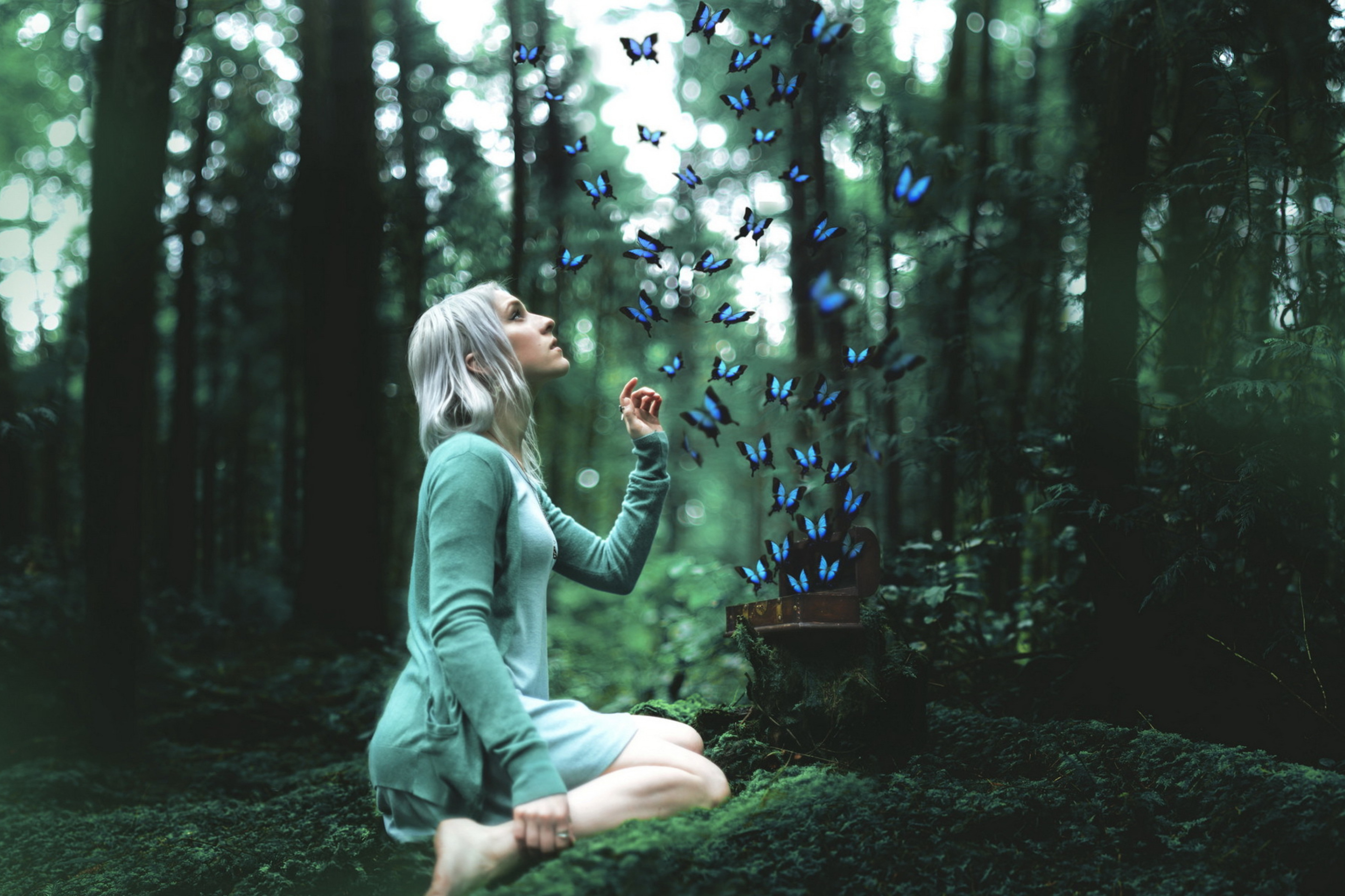 Screenshot №1 pro téma Girl And Blue Butterflies 2880x1920