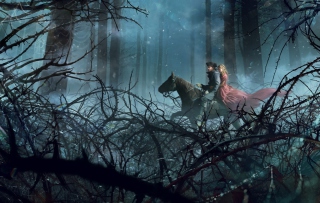 Night Horse Ride - Obrázkek zdarma pro Samsung Galaxy Nexus