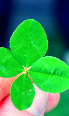 Screenshot №1 pro téma Four Leaf Clover 240x400