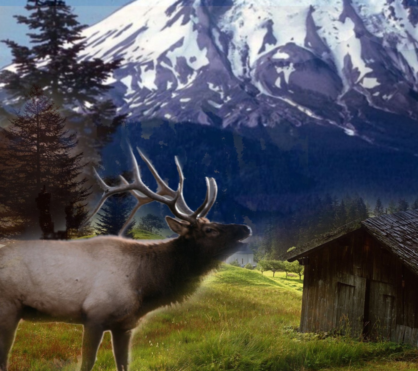Das Big Elk Wallpaper 1440x1280