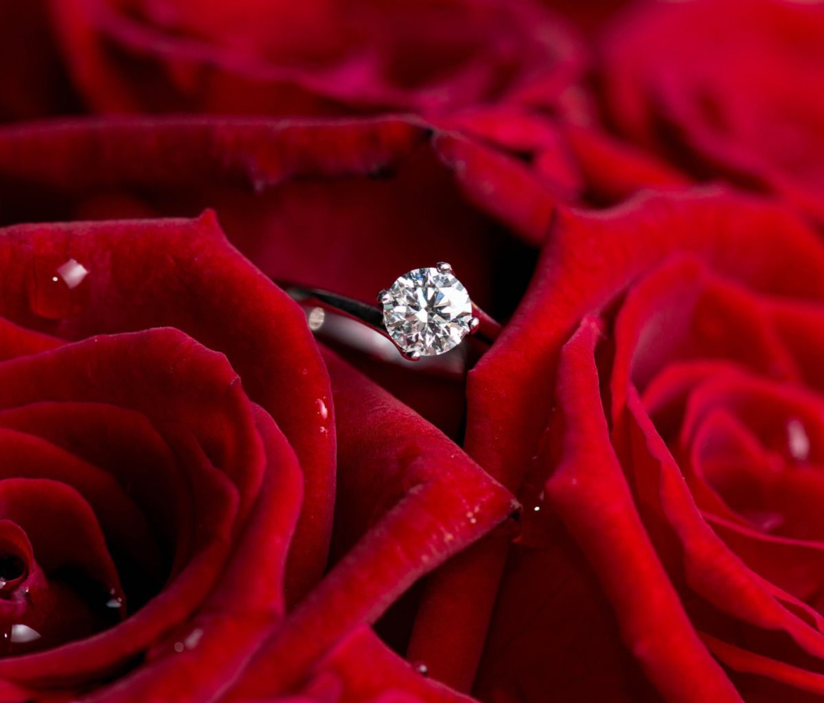 Fondo de pantalla Diamond Ring And Roses 1200x1024