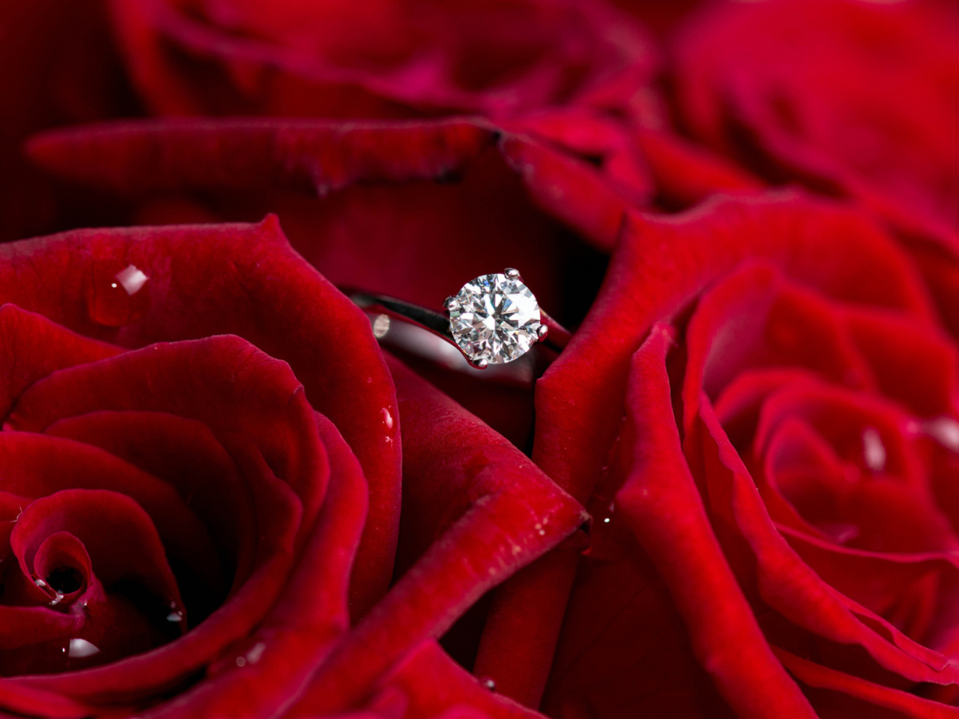 Screenshot №1 pro téma Diamond Ring And Roses 1400x1050