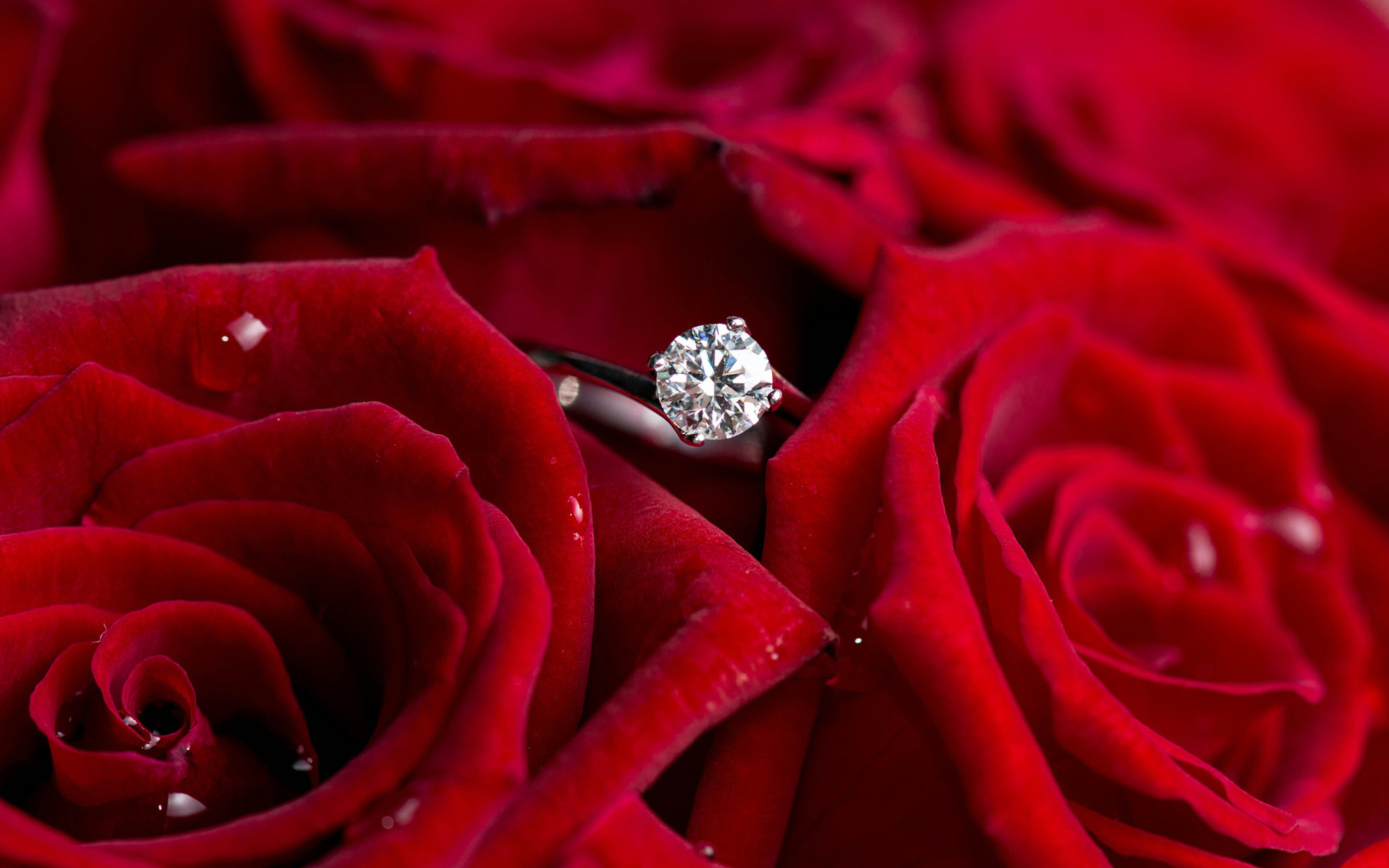 Das Diamond Ring And Roses Wallpaper 1920x1200