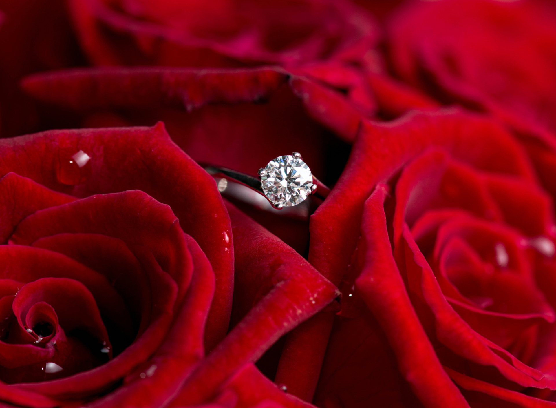 Das Diamond Ring And Roses Wallpaper 1920x1408