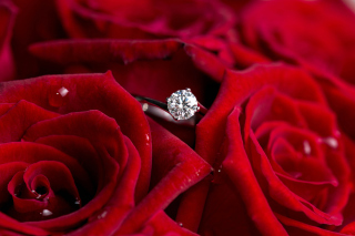 Diamond Ring And Roses - Obrázkek zdarma pro 320x240