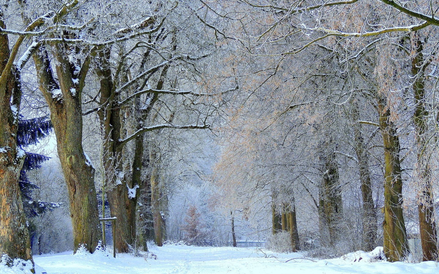 Winter Alley screenshot #1 1440x900