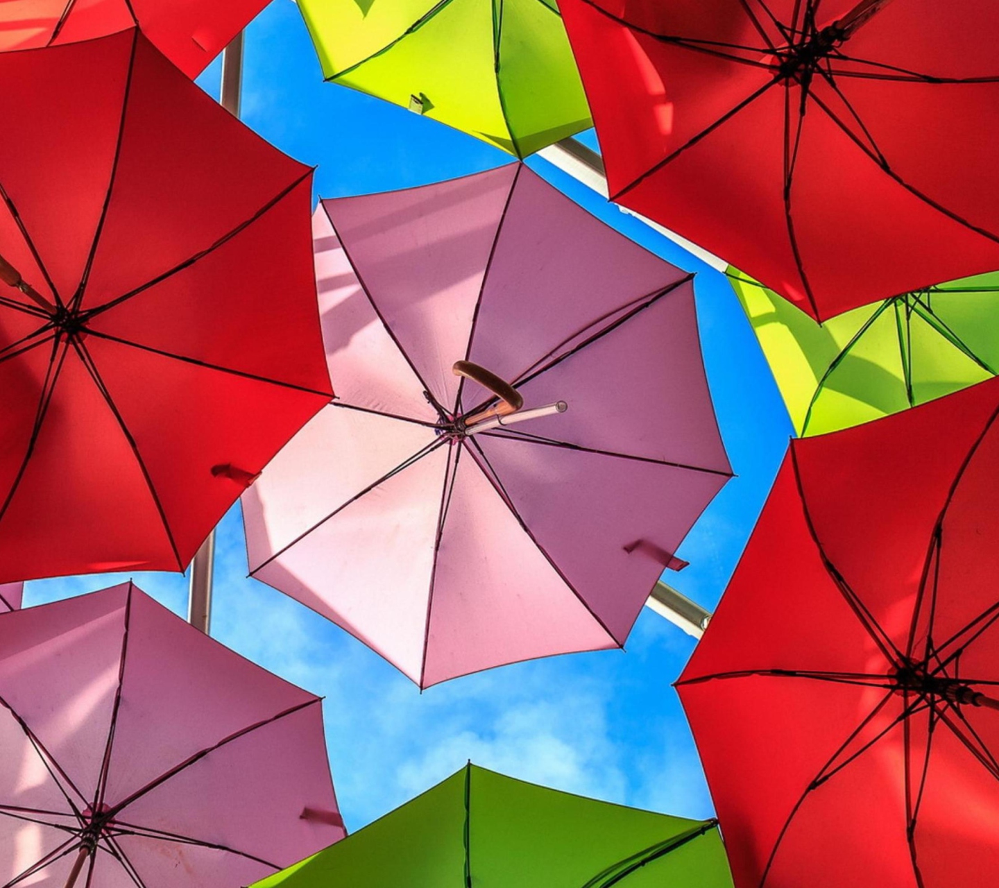 Обои Colorful Umbrellas 1440x1280
