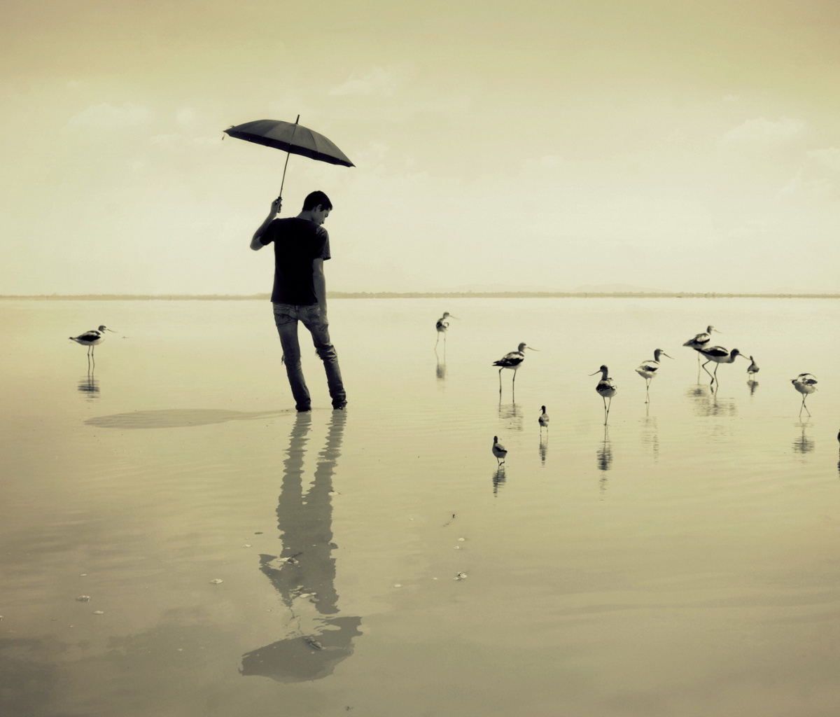 Обои Guy With Umbrella And Bird Lake 1200x1024