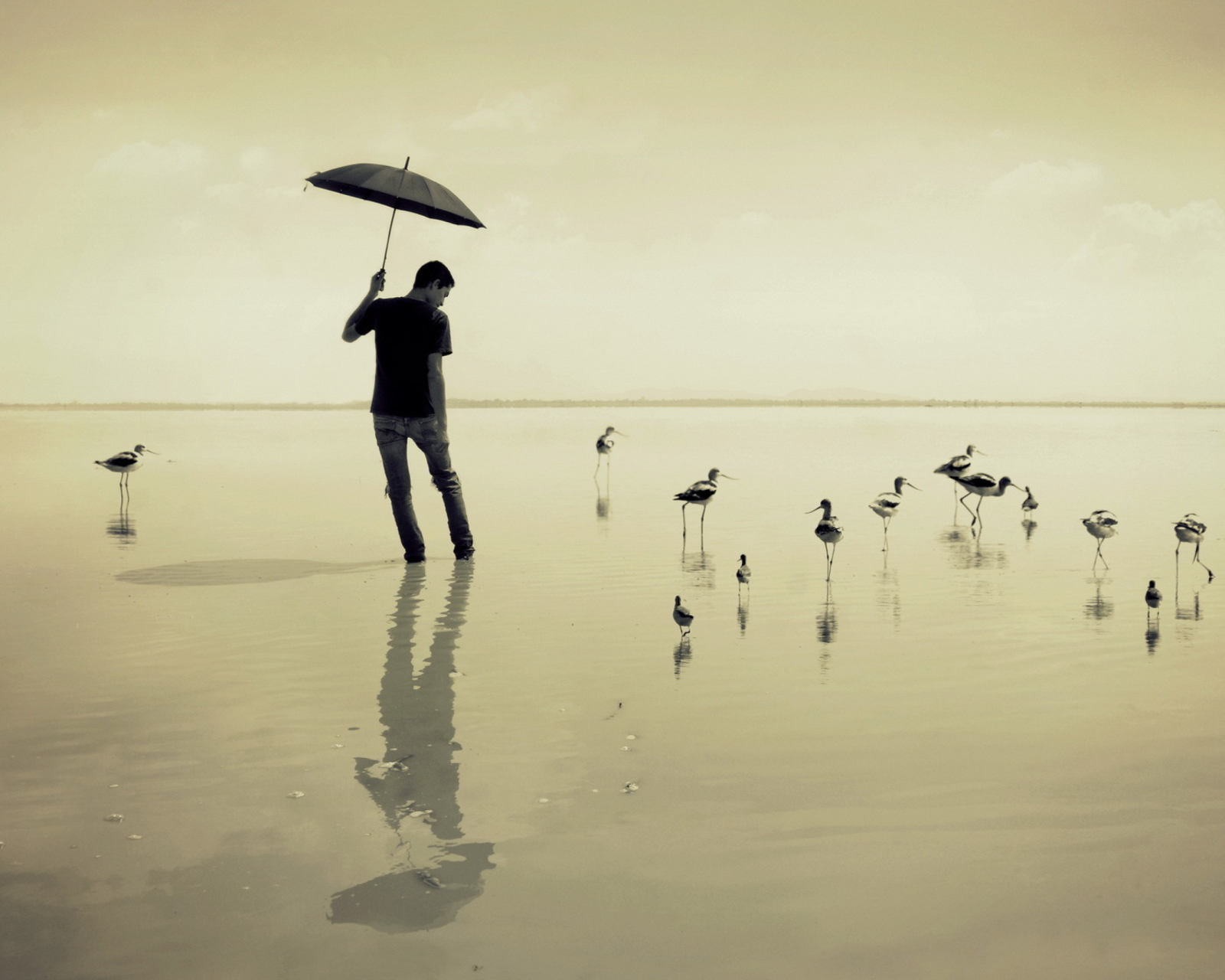 Das Guy With Umbrella And Bird Lake Wallpaper 1600x1280