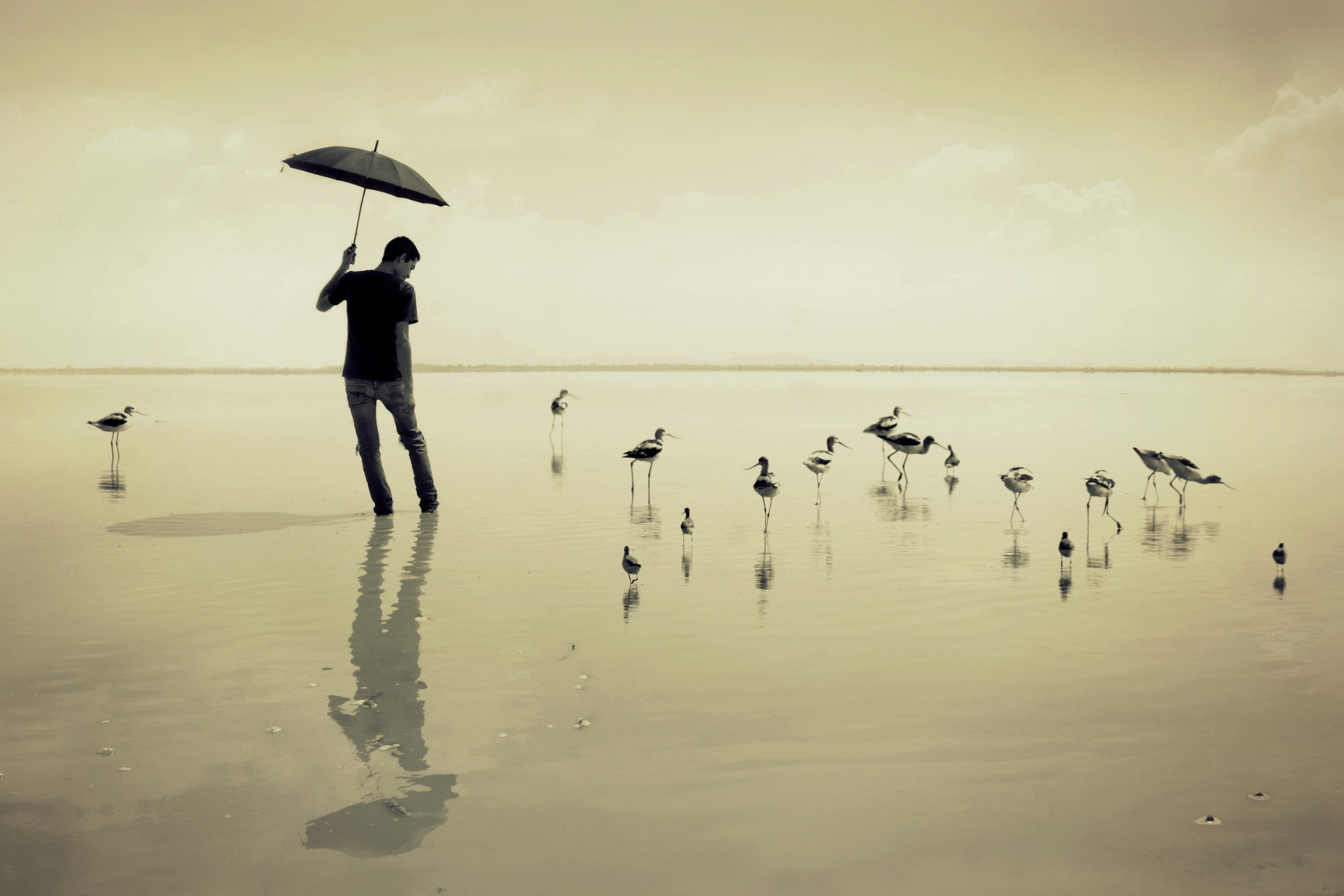 Screenshot №1 pro téma Guy With Umbrella And Bird Lake 2880x1920